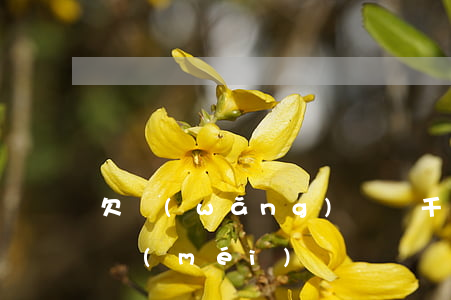 欠網(wǎng)貸幾千塊錢(qián)沒(méi)還