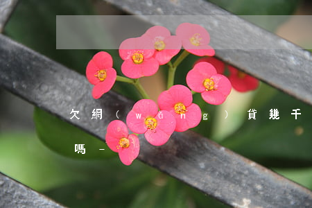 欠網(wǎng)貸幾千塊錢不還會上征信嗎-