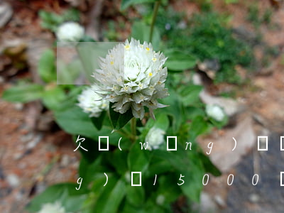 欠網(wǎng)貸幾千立案(欠網(wǎng)貸15000會不會立案)