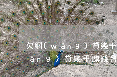 欠網(wǎng)貸幾千能起訴嗎(欠網(wǎng)貸幾千塊錢會被起訴嗎)