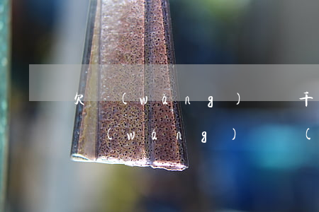 欠網(wǎng)貸幾千被列為在逃人員(欠網(wǎng)貸會(huì)成為在逃人員嗎)