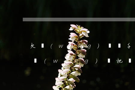 欠網(wǎng)貸幾千車子會被拖走嗎(欠網(wǎng)貸把車賣了)