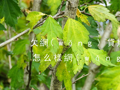 欠網(wǎng)貸幾年不還會(huì)怎么樣(網(wǎng)貸欠幾年不還的怎么樣)