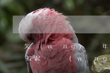 欠網(wǎng)貸幾年不還會(huì)被起訴嗎(網(wǎng)貸欠幾年就不能起訴了)