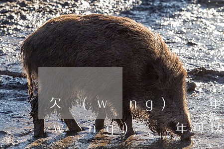 欠網(wǎng)貸幾年可以注銷嗎(欠網(wǎng)貸幾年可以注銷嗎)