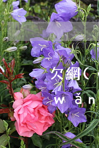欠網(wǎng)貸幾年就不能起訴(欠網(wǎng)貸幾年了還不起訴怎么辦)