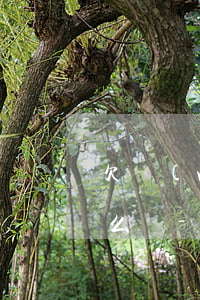 欠網(wǎng)貸幾年每天都接到信息怎么辦-欠網(wǎng)貸幾年每天都接到信息怎么辦呢