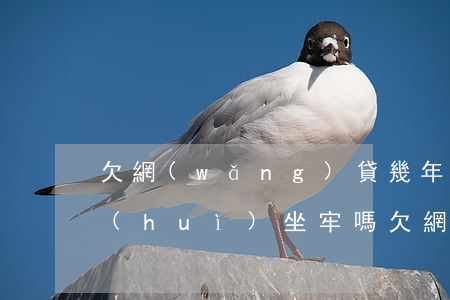 欠網(wǎng)貸幾年沒(méi)還會(huì)坐牢嗎(欠網(wǎng)貸不還錢(qián)會(huì)坐牢嗎)