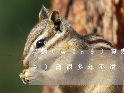 欠網(wǎng)貸幾年能不(欠網(wǎng)貸很多年不還)