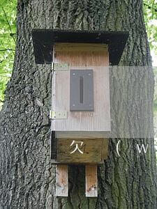 欠網(wǎng)貸幾年能辦身份證嗎