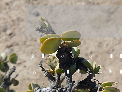 欠網(wǎng)貸幾年能還清(欠網(wǎng)貸多久不用還)