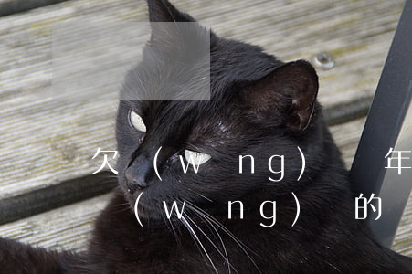 欠網(wǎng)貸幾年都沒還會怎么樣(欠網(wǎng)貸的錢過幾年沒事)