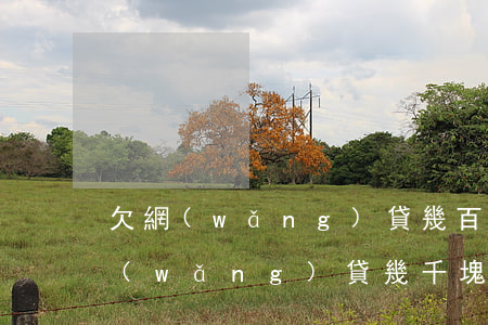 欠網(wǎng)貸幾百元會被起訴嗎(欠網(wǎng)貸幾千塊錢會被起訴嗎)