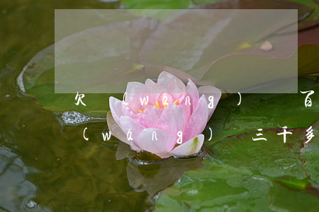 欠網(wǎng)貸幾百塊會上門要嗎(欠網(wǎng)貸三千多會上門嗎)