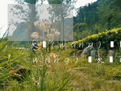 欠網(wǎng)貸幾百塊會被起訴嗎(網(wǎng)貸欠幾百塊錢能起訴嗎)
