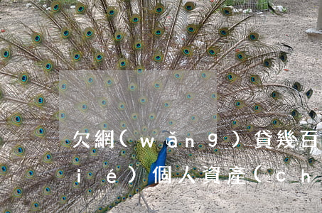 欠網(wǎng)貸幾百塊錢會被凍結(jié)個人資產(chǎn)嗎?-欠網(wǎng)貸幾百塊錢會被凍結(jié)個人資產(chǎn)嗎知乎