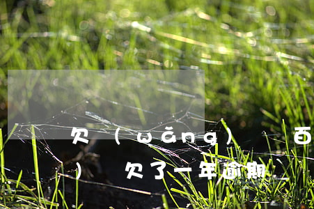 欠網(wǎng)貸幾百逾期(網(wǎng)貸欠了一年逾期)