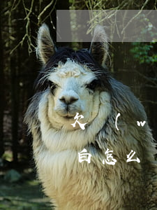 欠網(wǎng)貸幾萬(wàn)不敢坦白怎么辦(網(wǎng)貸欠了很多錢,怎么向家人坦白)
