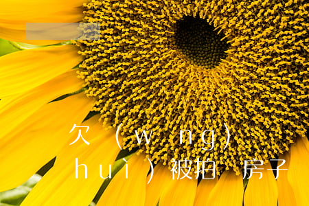 欠網(wǎng)貸幾萬(wàn)塊會(huì)被拍賣房子嗎