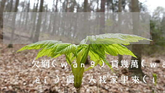 欠網(wǎng)貸幾萬(wàn)沒(méi)還別人找家里來(lái)了(欠網(wǎng)貸幾萬(wàn)沒(méi)還別人找家里來(lái)了)