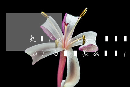 欠網(wǎng)貸幾萬(wàn)無(wú)力償還怎么辦(網(wǎng)貸欠錢(qián)太多無(wú)力償還)