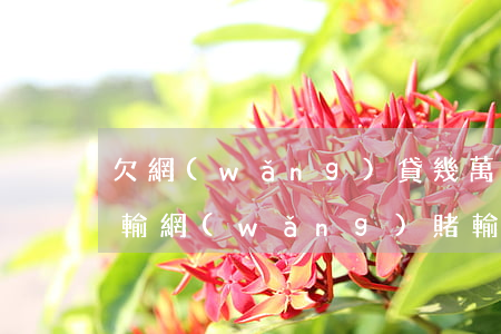 欠網(wǎng)貸幾萬(wàn)賭錢又輸(網(wǎng)賭輸了幾百萬(wàn)網(wǎng)貸欠了一堆怎么辦)