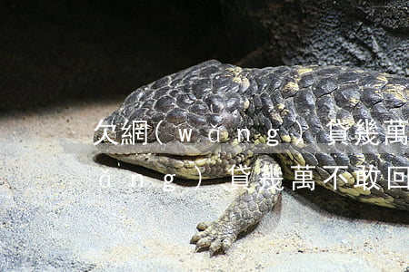 欠網(wǎng)貸幾萬不敢回家(欠網(wǎng)貸幾萬不敢回家)