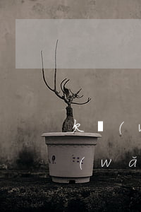 欠網(wǎng)貸幾萬元還能辦房貸嗎(網(wǎng)貸欠幾千可以辦理房貸么)