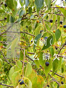 欠網(wǎng)貸幾萬塊錢被異地起訴怎么辦(欠網(wǎng)貸一萬多被起訴怎么辦)