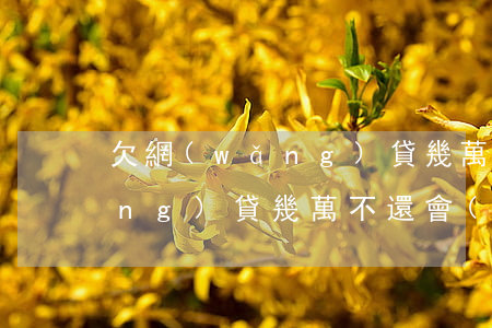 欠網(wǎng)貸幾萬如何處理(網(wǎng)貸幾萬不還會(huì)有什么后果)