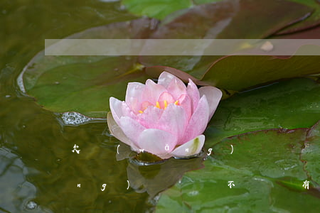 欠網(wǎng)貸幾萬如何處理(網(wǎng)貸幾萬不還會有什么后果)