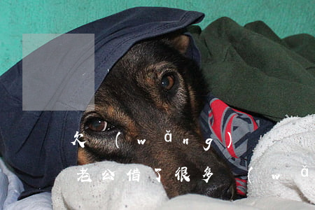 欠網(wǎng)貸幾萬我想和老公離婚(幫老公借了很多網(wǎng)貸想離婚)