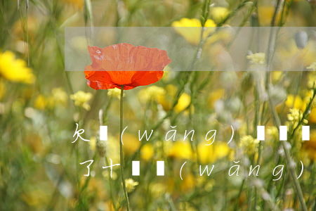 欠網(wǎng)貸幾萬睡不著(不知不覺欠了十萬網(wǎng)貸)
