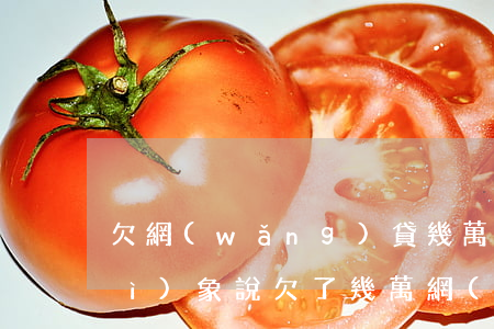 欠網(wǎng)貸幾萬該怎么跟對(duì)象說(欠了幾萬網(wǎng)貸怎么和爸媽說)