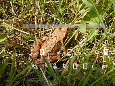 欠網(wǎng)貸延期一天 會(huì)短信通知嗎(網(wǎng)貸逾期短信通知函件已發(fā)送)