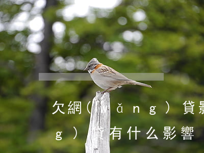 欠網(wǎng)貸影響出行(欠網(wǎng)貸有什么影響)