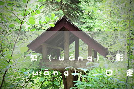欠網(wǎng)貸影響戶口過戶嗎(欠網(wǎng)貸戶口遷走還會(huì)追查到嗎)