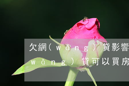 欠網(wǎng)貸影響房貸額度嗎(欠網(wǎng)貸可以買房嗎)