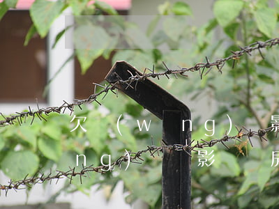 欠網(wǎng)貸影響搖號嗎(欠網(wǎng)貸會影響買房嗎)