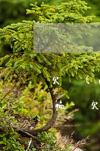 欠網(wǎng)貸影響正在使用的信用卡嘛-欠網(wǎng)貸影響正在使用的信用卡嘛怎么辦