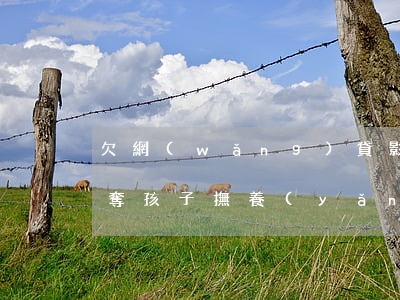 欠網(wǎng)貸影響爭(zhēng)奪孩子撫養(yǎng)權(quán)嗎(借過網(wǎng)貸會(huì)影響爭(zhēng)奪撫養(yǎng)權(quán)嗎)