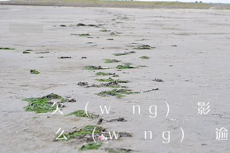 欠網(wǎng)貸影響當(dāng)兵么(網(wǎng)貸逾期對當(dāng)兵有沒有影響)