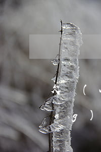 欠網(wǎng)貸影響當兵嗎?（欠網(wǎng)貸影響當兵嗎?）