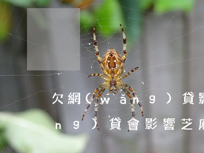 欠網(wǎng)貸影響芝麻分嗎(網(wǎng)貸會影響芝麻信用分嗎)