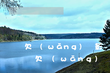 欠網(wǎng)貸影響還車(chē)貸嗎(欠網(wǎng)貸和車(chē)子有關(guān)系嗎)