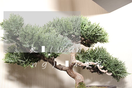 欠網(wǎng)貸彼套路了(欠了網(wǎng)貸不要怕)