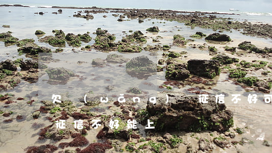 欠網(wǎng)貸征信不好可以坐飛機嗎(征信不好能上飛機嗎)