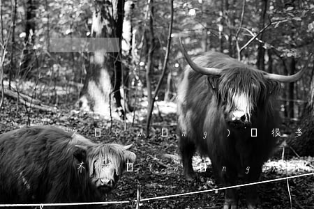 欠網(wǎng)貸很多錢(qián)還不起(網(wǎng)貸欠款十幾萬(wàn)還不起怎么辦)