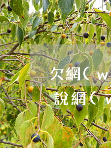 欠網(wǎng)貸很多錢怎么開口和家里說(網(wǎng)貸欠十幾萬怎么和家里開口)