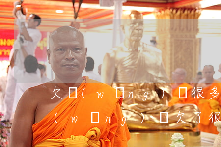 欠網(wǎng)貸很多錢感覺沒花多少(網(wǎng)貸欠了很多錢)